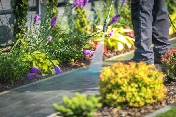 Reliable Lemont, IL Pressure Washing Services Solutions